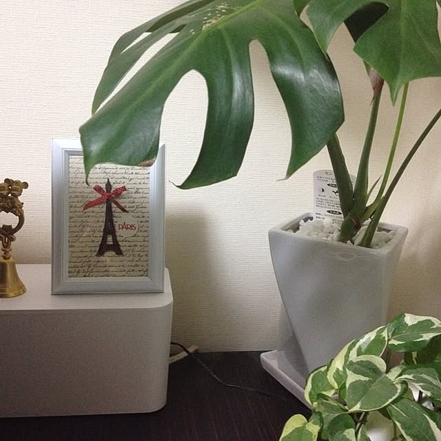 konekoginjiさんの実例写真