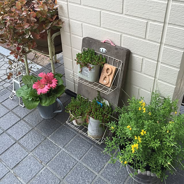 sumireさんの実例写真
