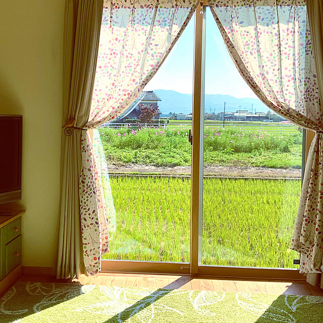 chiiyanさんの部屋