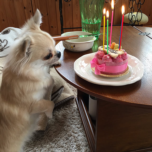 momomiさんの実例写真