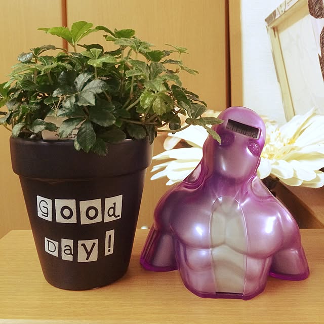 237mmさんの実例写真
