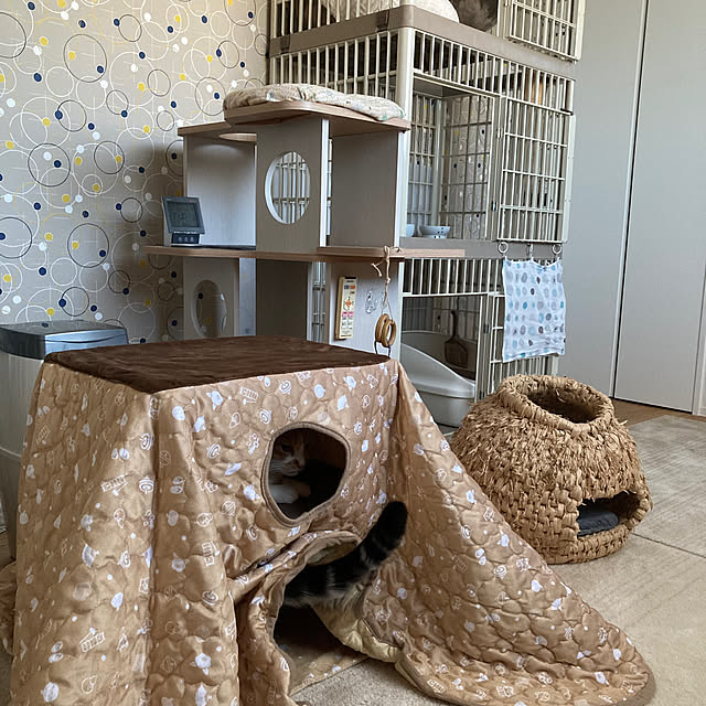 mkmkmoominさんの部屋