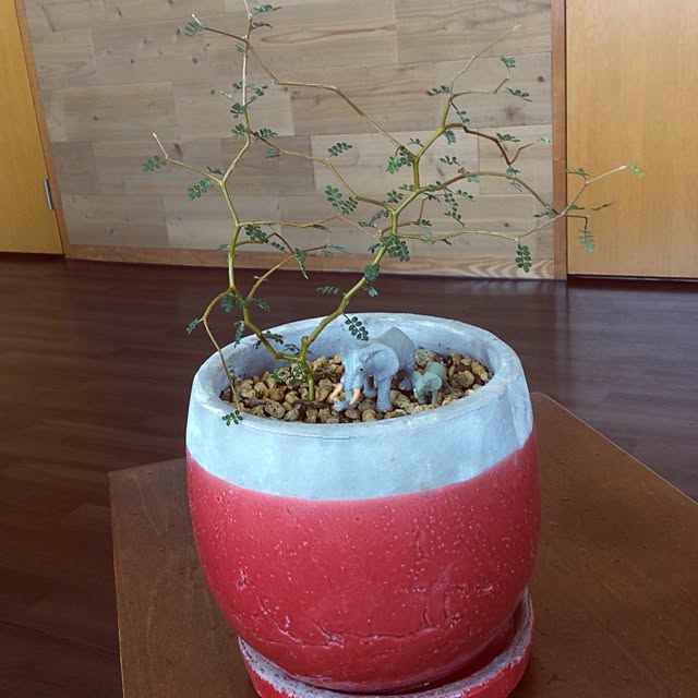 osharetomさんの実例写真