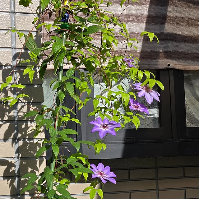 mitsuyama3136さんの部屋