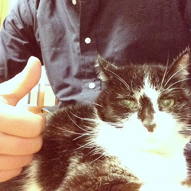 Shigekiさんの実例写真