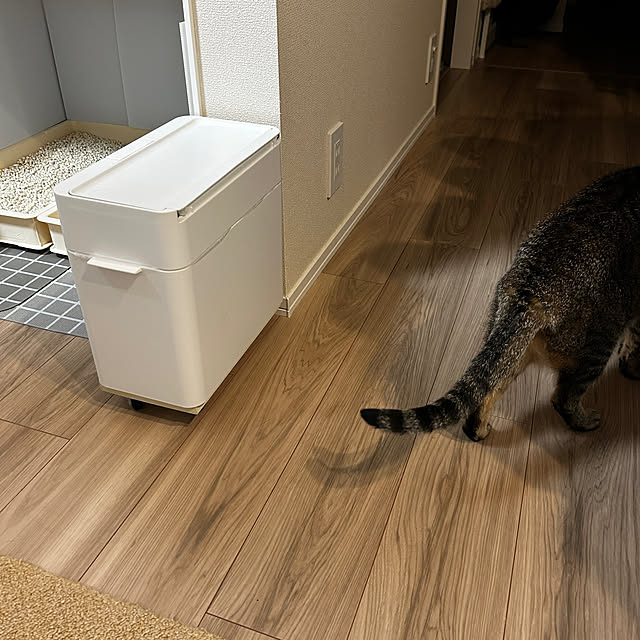 mikomaruさんの部屋