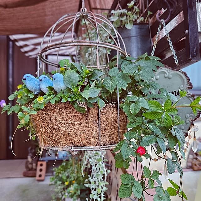 mocomocoさんの実例写真