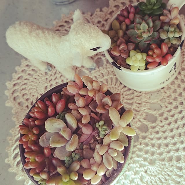 rookier05さんの実例写真