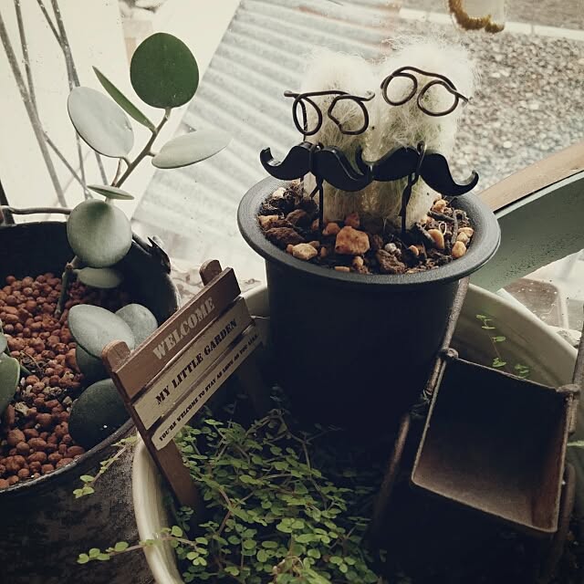 kaoさんの実例写真