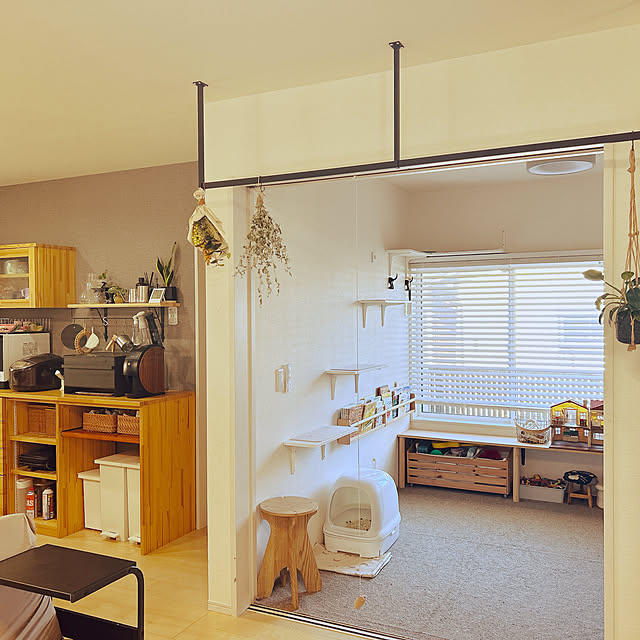 pi-popaさんの実例写真