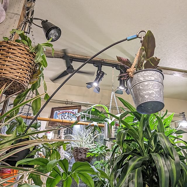 GINさんの部屋