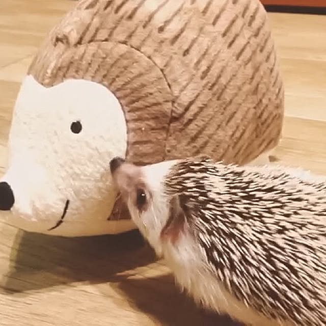 ctaさんの実例写真