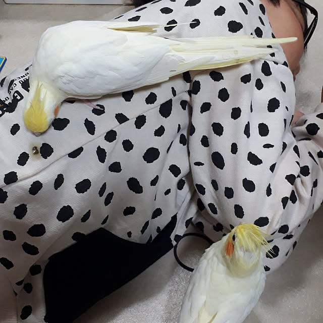 ANTENNAさんの実例写真