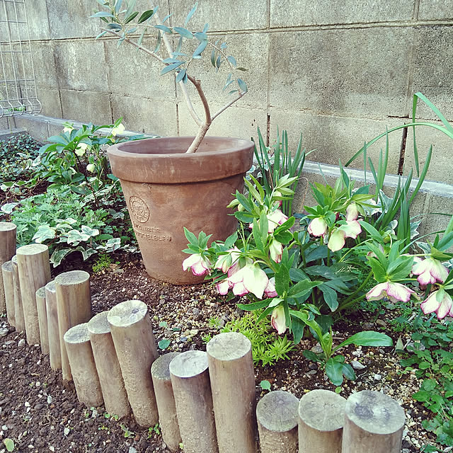 mintさんの実例写真