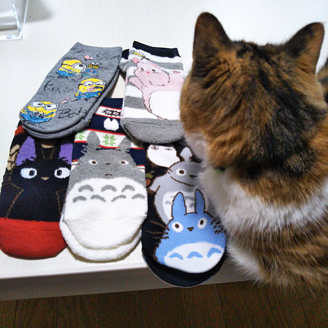 yukieさんの実例写真