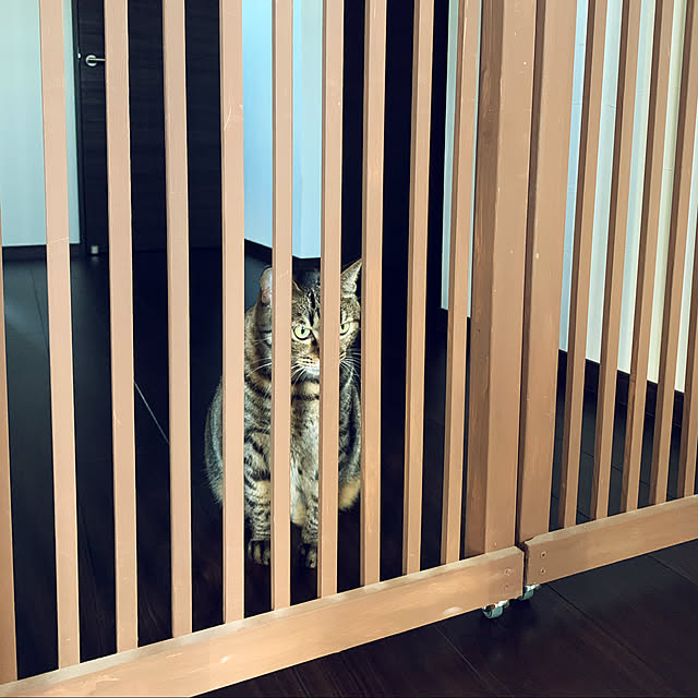 sabさんの実例写真