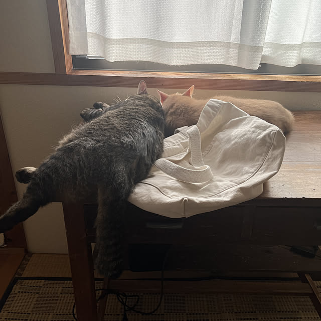 mikan161さんの実例写真