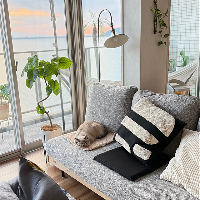 amさんの実例写真