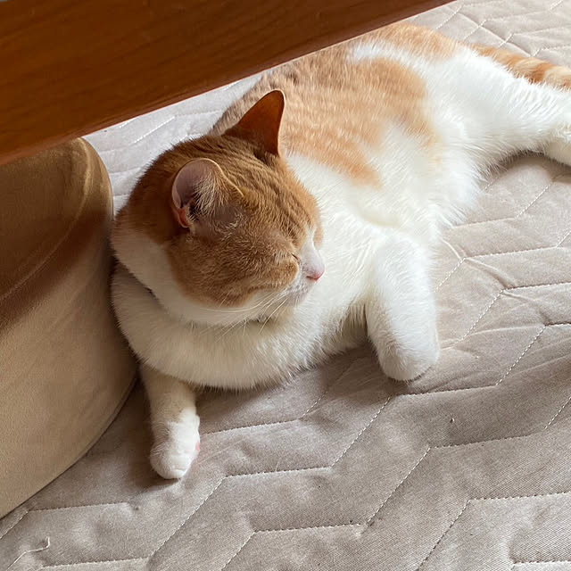 mintteaさんの部屋