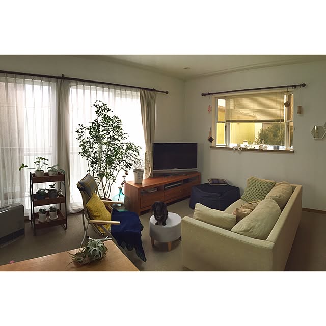 kaoru.m11さんの実例写真