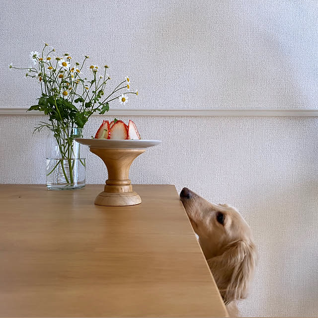mimiedenさんの実例写真