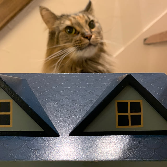 masakoさんの部屋