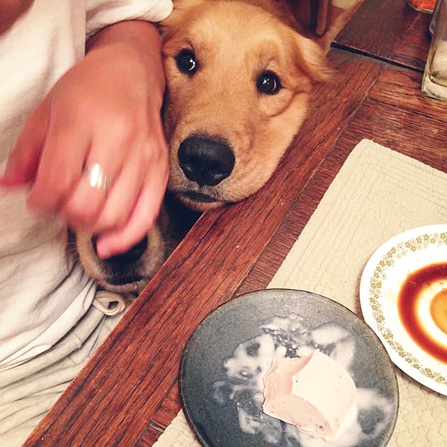 pao-mamaさんの実例写真