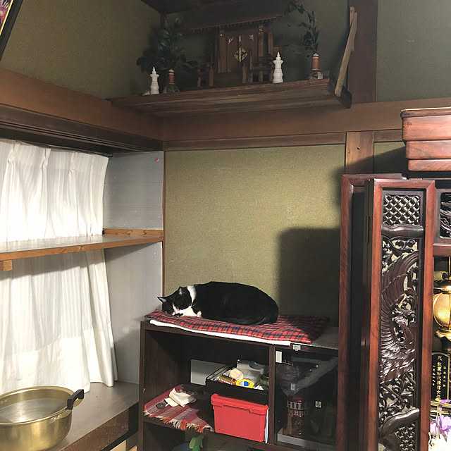 chobihigeさんの部屋