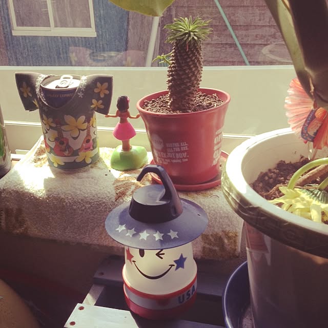 Malamaさんの実例写真