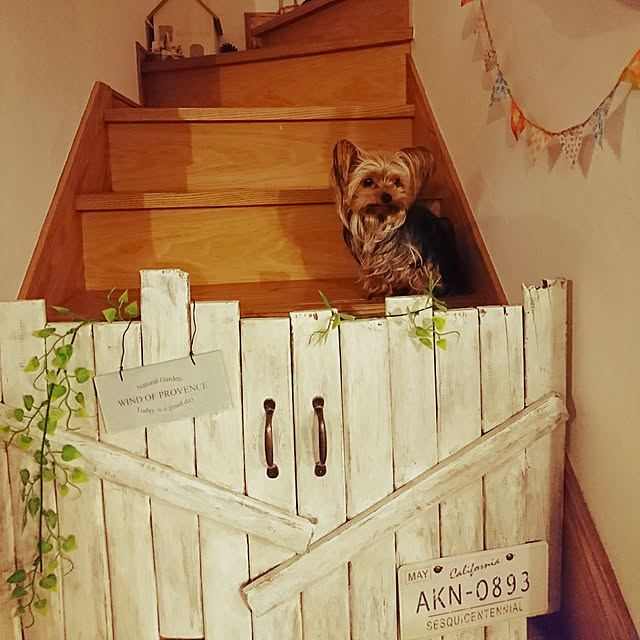 akiさんの実例写真