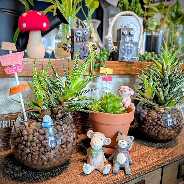 naoporonさんの実例写真