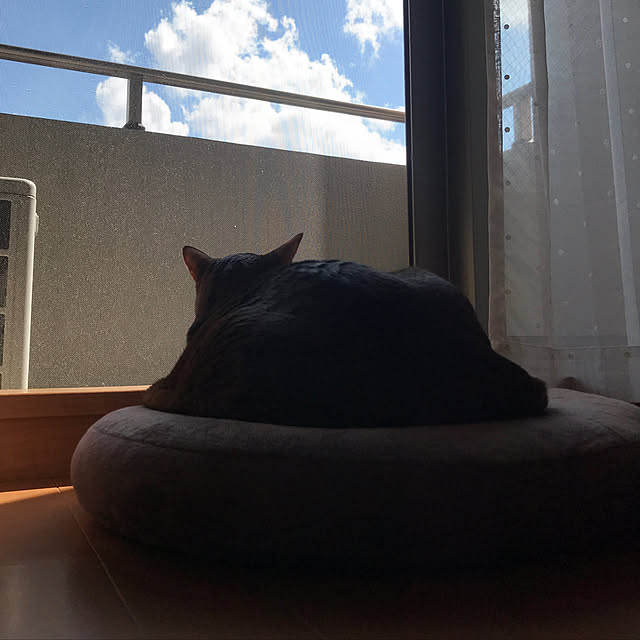 aby_nyanさんの実例写真