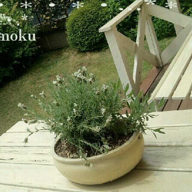 huwahuwa.mokumokuさんの実例写真