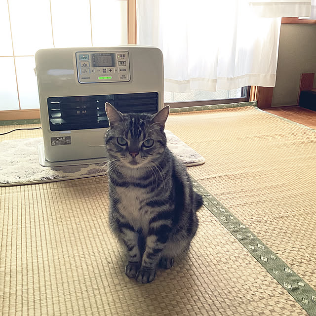 richanさんの実例写真