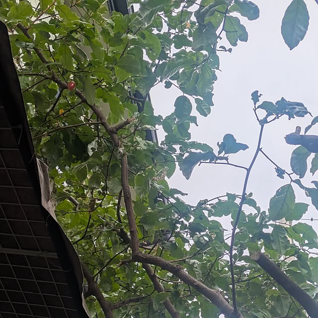 mori_6_12さんの部屋