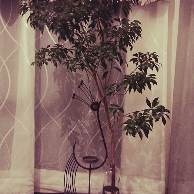 kookookooさんの実例写真