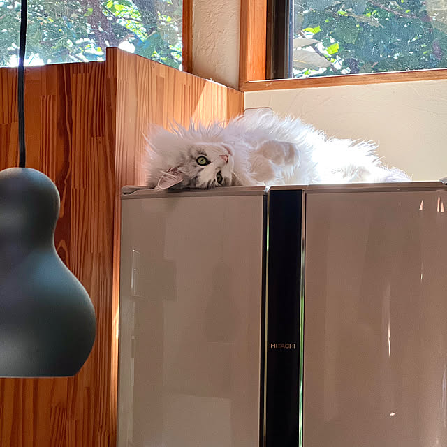 Kikko.さんの部屋