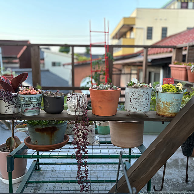 monasanさんの部屋