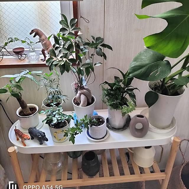 pua.dekoさんの部屋