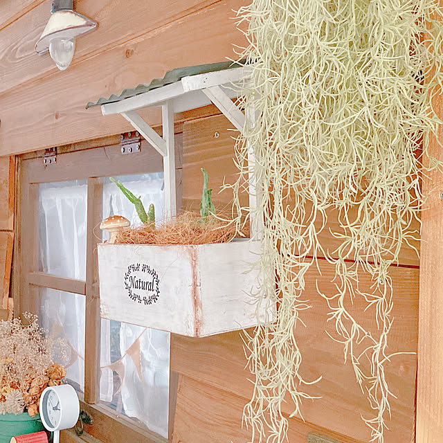 Hanakaさんの部屋