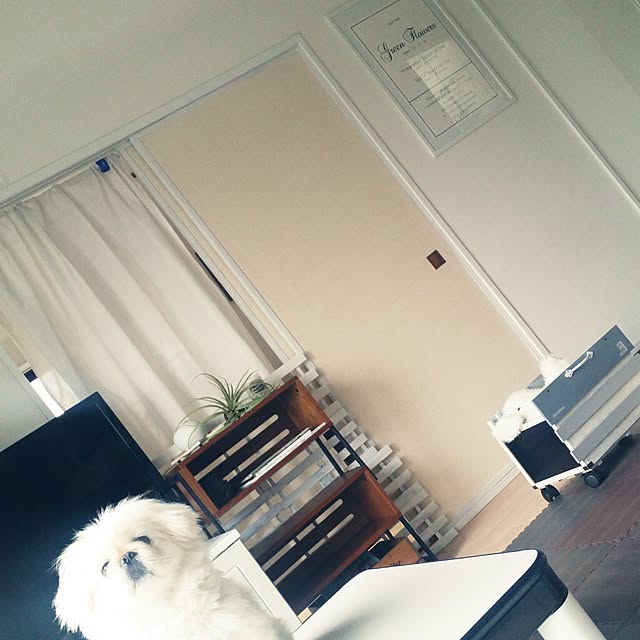 yukagomaさんの実例写真