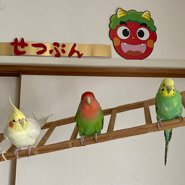 toratanさんの実例写真