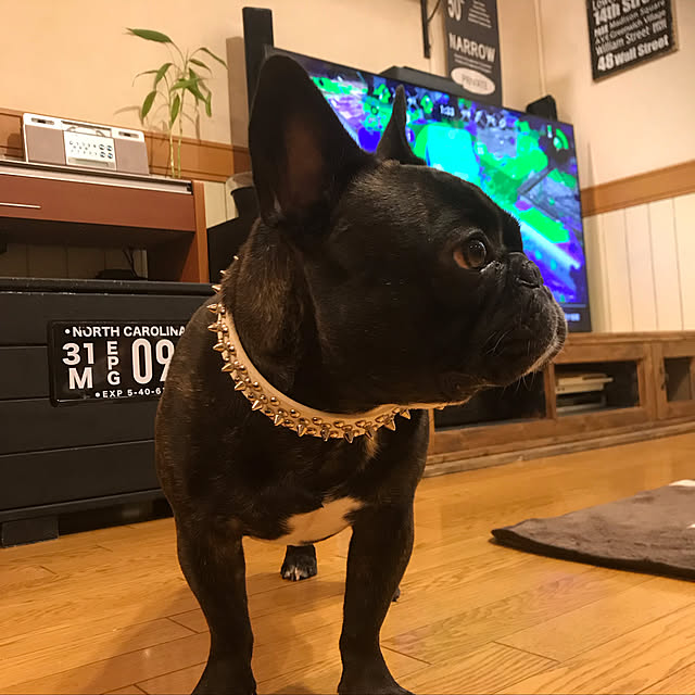 1000gaさんの実例写真