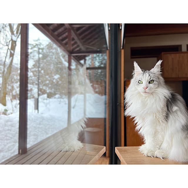 Kikko.さんの部屋