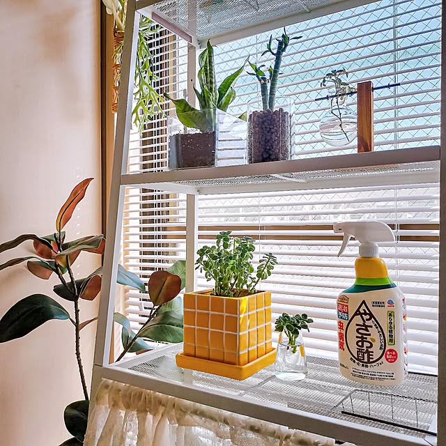 38さんの実例写真