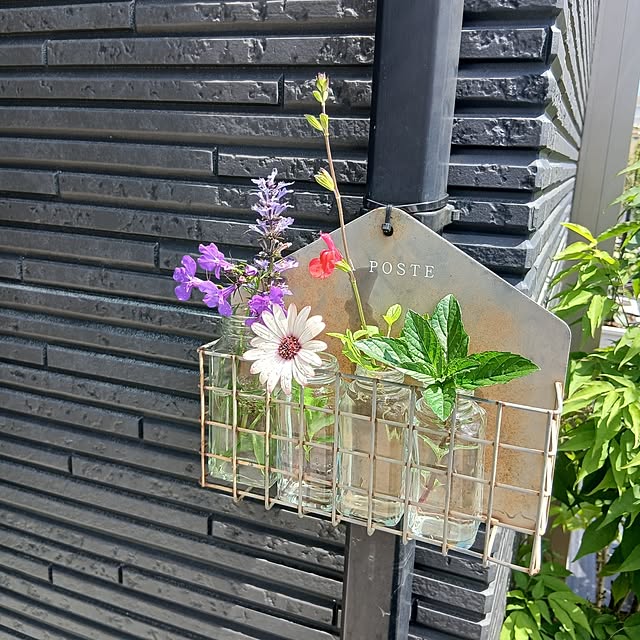 kaanaさんの部屋