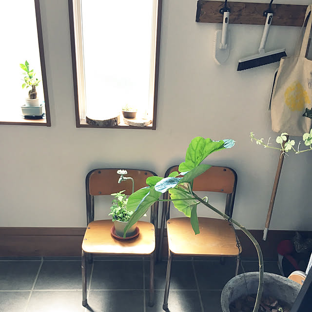 mattunn24さんの実例写真