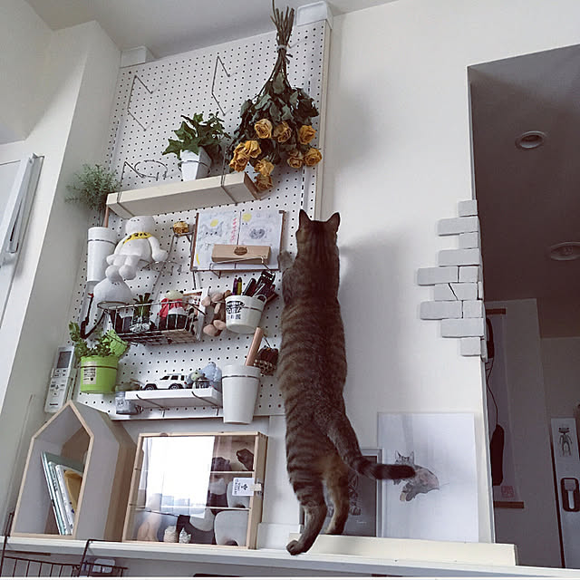mikomaruさんの実例写真