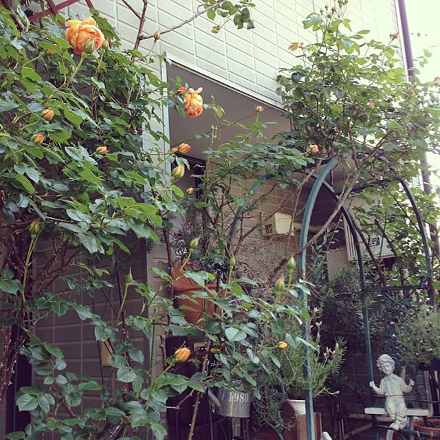 lavender_roseさんの実例写真