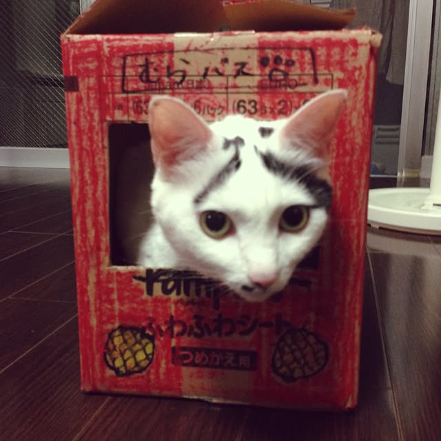 muraさんの実例写真